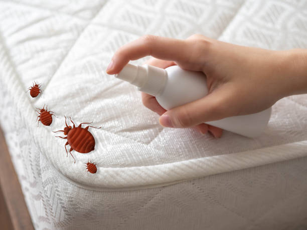 Best Mosquito Control Services  in Russell, KS